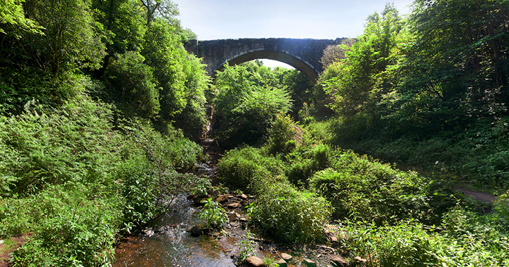 Causey Arch oldest single arch railway bridge, County Durham